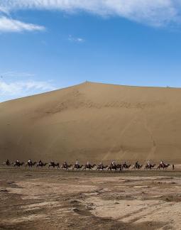 Desert Journey 44