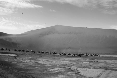Desert Journey 45