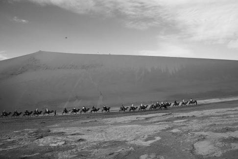 Desert Journey 47