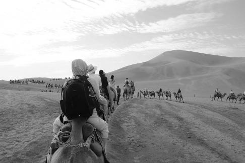 Desert Journey 48