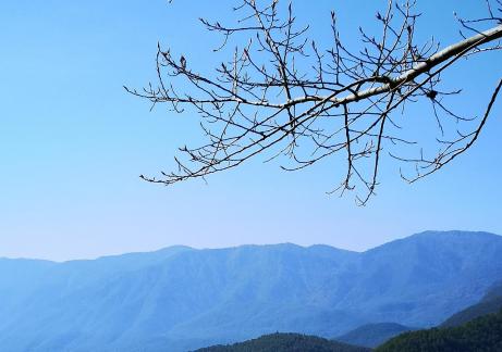 Chunshan once 8
