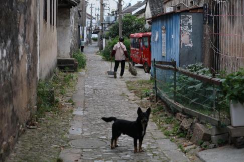 Dream of Jiangnan 23