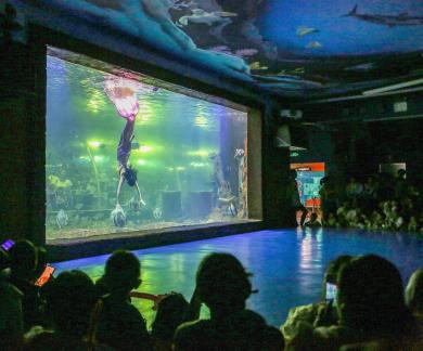 Aquarium Tour 28