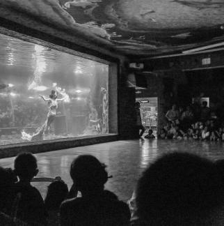 Aquarium Tour 29