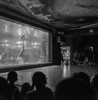 Aquarium Tour 30