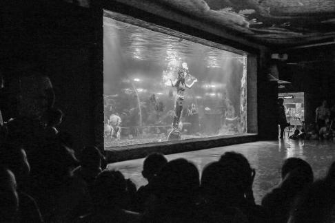 Aquarium Tour 31