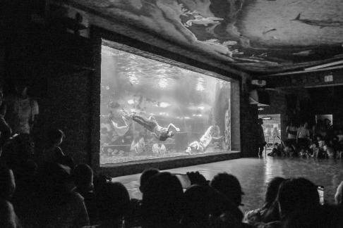 Aquarium Tour 32