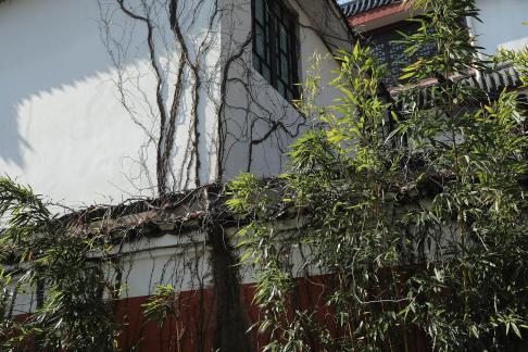 Journey to Yuelu Mountain 35