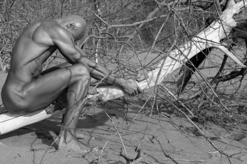 Man and tress