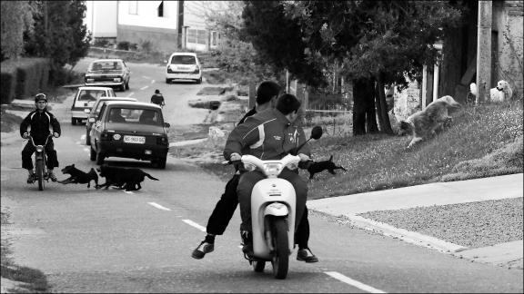 Moment