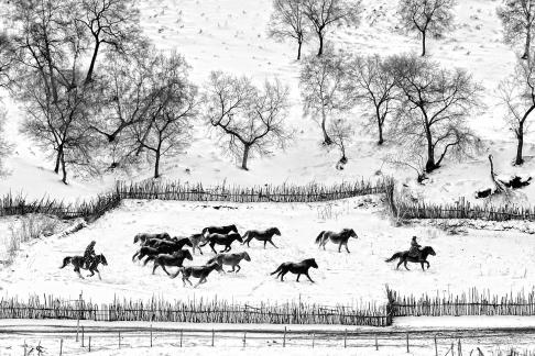 WINTER HORSE RIDING