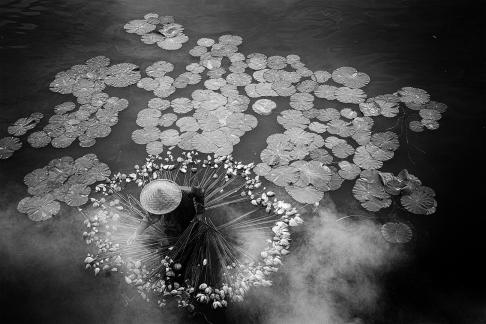 Lotus Farmer