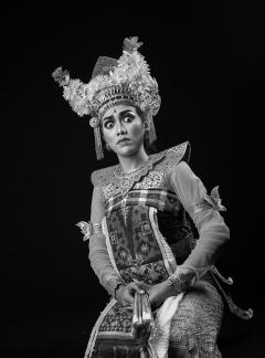 Sang Penari 204 