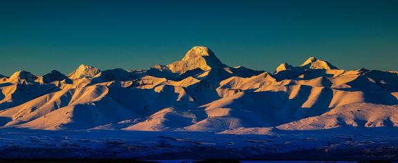 Golden light return