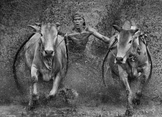 Mud Racer