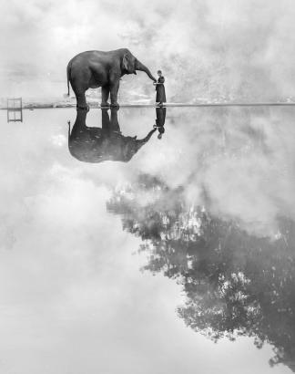 Worship to an elephant