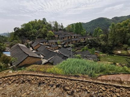 miaozhai8