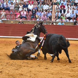 Rejoneador por los suelos