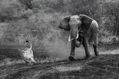 Kenya 19