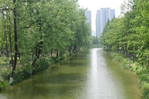 Qingqing Creek 1