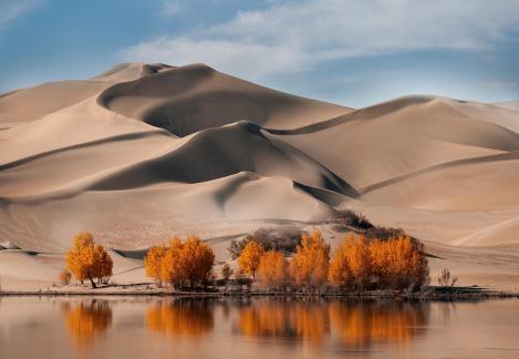 Autumn scenery