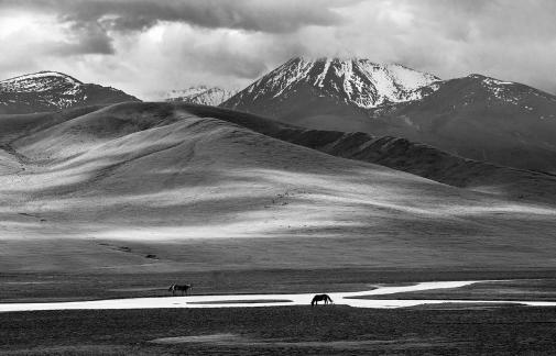 Snow Mountain Grassland