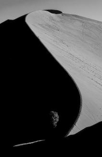 sand dune