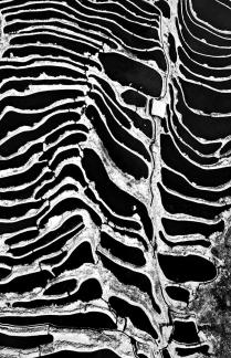 Winter Terraced Fields