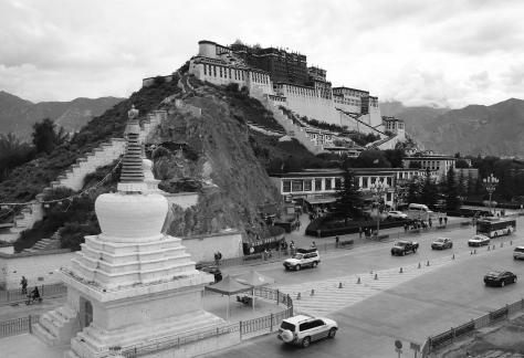 Take a photo in Xizang 19