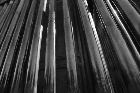 Journey to Wudang Mountain 86