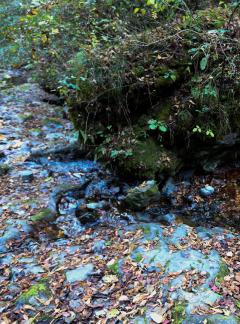 mountain stream 1