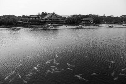 Visit the ancient city 85