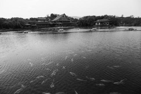 Visit the ancient city 86