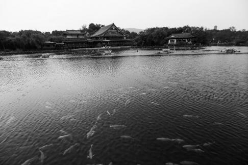 Visit the ancient city 87