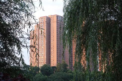 Red Wall Green Willow 1