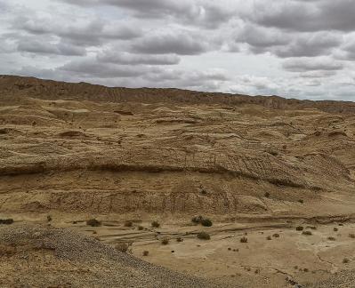 Breath of the Wilderness 12