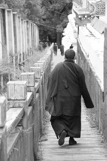 March toward the light 7