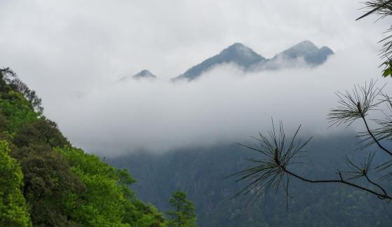 Green curtain hanging clouds 18
