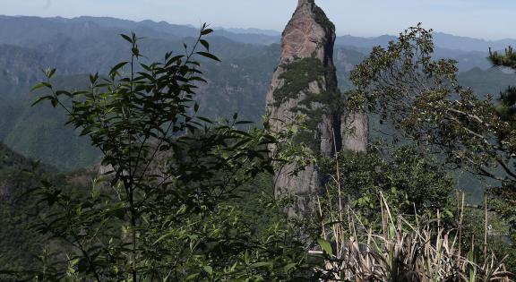 Green environment 12