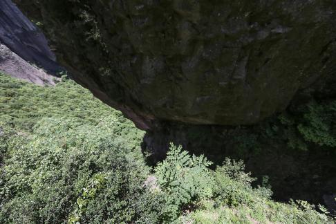 Green between cliffs 16