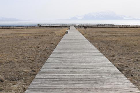 Wilderness leads the way 2