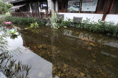 The House by the River 5