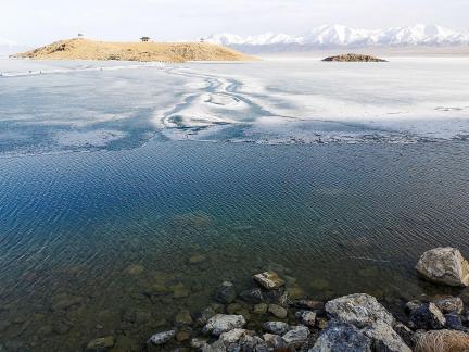 Sleeping Snow in Cold Pond 6
