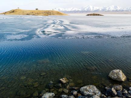 Sleeping Snow in Cold Pond 8