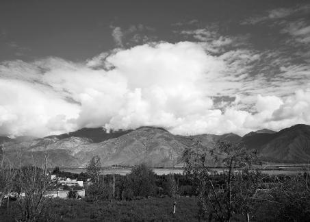 Yunmu Green Field 62