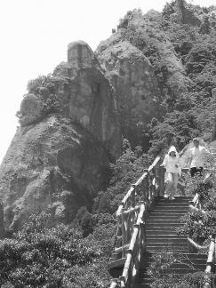 Mountain plank road 1