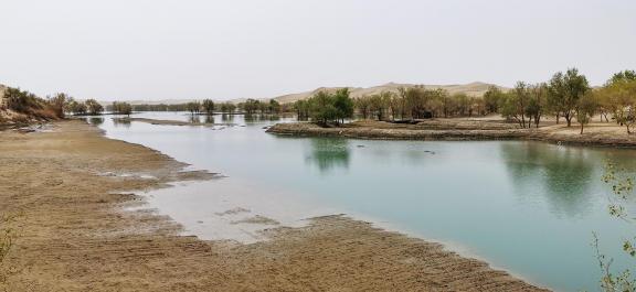 Shallow pond reflecting autumn 2