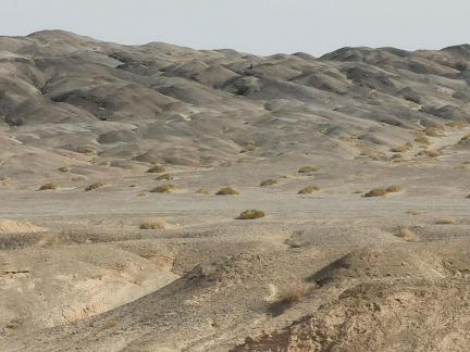 Rift Valley Morning Light 20