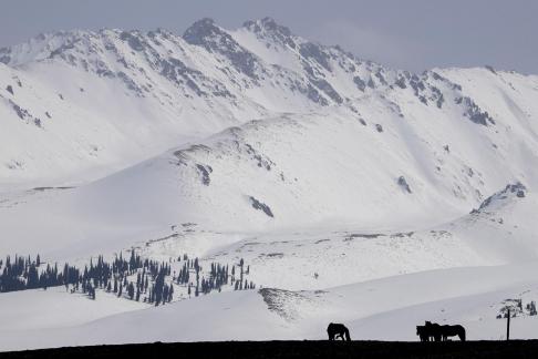 Mountain Trail Watching Snow 13