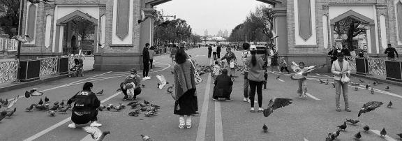 Yili Old Town Landscape 5